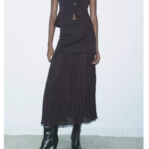 Zara // Medium Semi Sheer Skirt